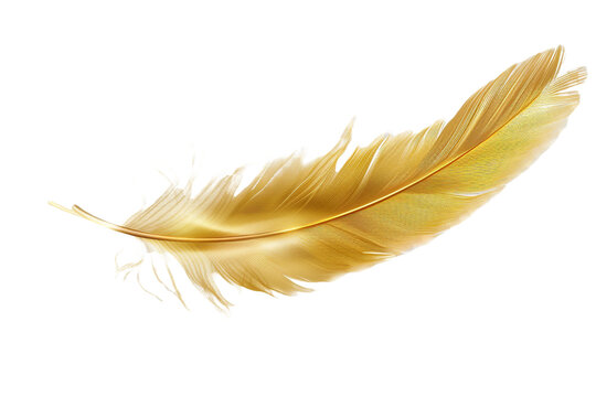 Gold feather isolated on transparent background