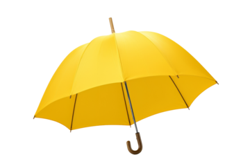 The Golden Canopy on a White or Clear Surface PNG Transparent Background..