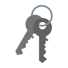 Key Flat icon