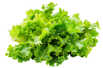 Obraz premium Green lettuce top view isolated on transparent background