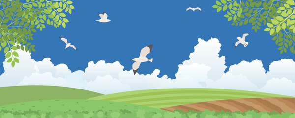 Obraz premium 夏の田舎の風景