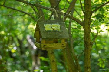 An old wooden birdhouse hanging among the branches in the forest