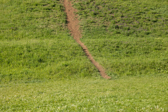 The path is trampled on a slope covered with green grass