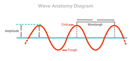 Wave anatomy diagram. Amplitude, waveform, crest, trough. Longitude, compression. laws propagation. Audio frequency, high pitch note, voltage volume. Red, blue line rhythm. Vector illustration	