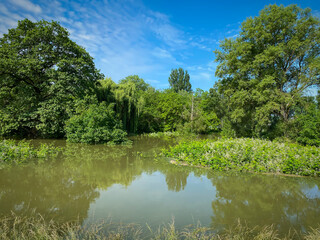 Hochwasser und &Uuml;berschwemmungen in Worms am Rhein