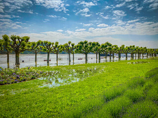 Hochwasser und Überschwemmungen in Worms am Rhein