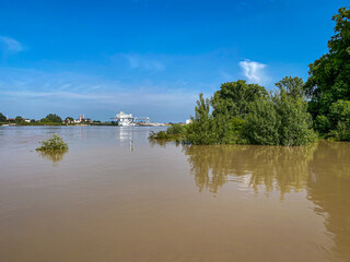 Hochwasser und Überschwemmungen in Worms am Rhein