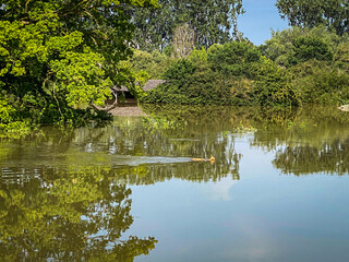 Hochwasser und Überschwemmungen in Worms am Rhein