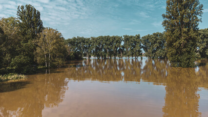 Hochwasser und Überschwemmungen in Worms am Rhein