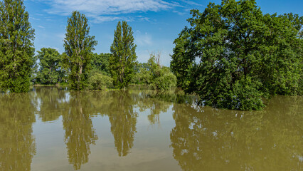 Hochwasser und Überschwemmungen in Worms am Rhein