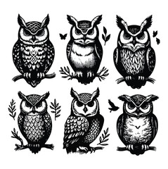Owl Bird Black silhouette on white background six set vector illustration