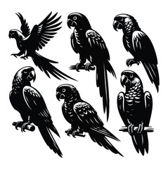 Black silhouette set birds on white background vector image. 