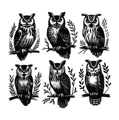 Owl Bird Black silhouette on white background six set vector illustration