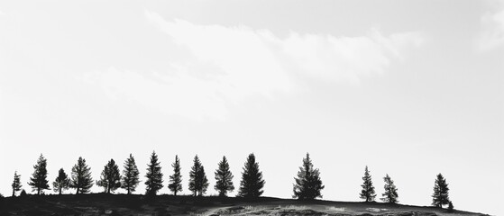 Obraz premium Black white landscape row pine trees on hill against sky, peaceful tranquil outdoor calm