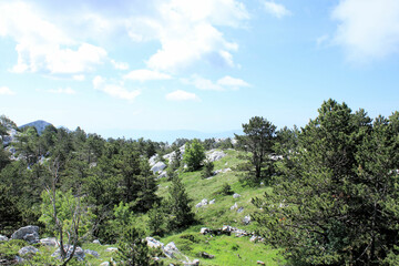 Fototapeta premium nature in N.P. park Biokovo, Makarska, Croatia