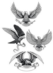 Bald Eagle Set Black and White Illustration