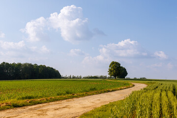 The road to a beautiful landscape © TomaszGwóźdźFoto