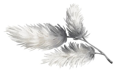 Watercolor spruce branch. Illustration of a snowy tree branch. Fir hand drawn sketch on isolated background. Coniferous plant of pine, cedar, evergreen tree. Part of the foliage close-up.