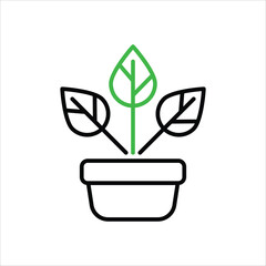 Croton vector icon © vector squad