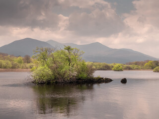 Fototapeta premium A lake with a small island in the middle. The sky is cloudy and the sun is shining through the clouds, reflection in calm water surface. Killaney, Ireland. Irish nature landscape. Nobody.