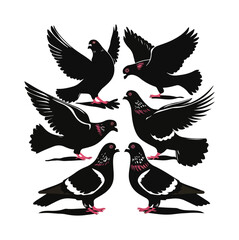 Six-set Pigeon silhouette on white background vector illustration.