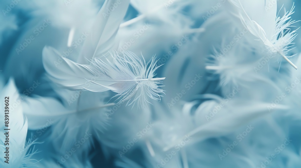 Poster soft white feathers background. delicate and light texture, perfect for nature and abstract themes