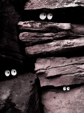 Unusual, hidden googly eyes are alert! Are there horrible, awful creatures in the woods - or do they have good intentions? Photography and animation