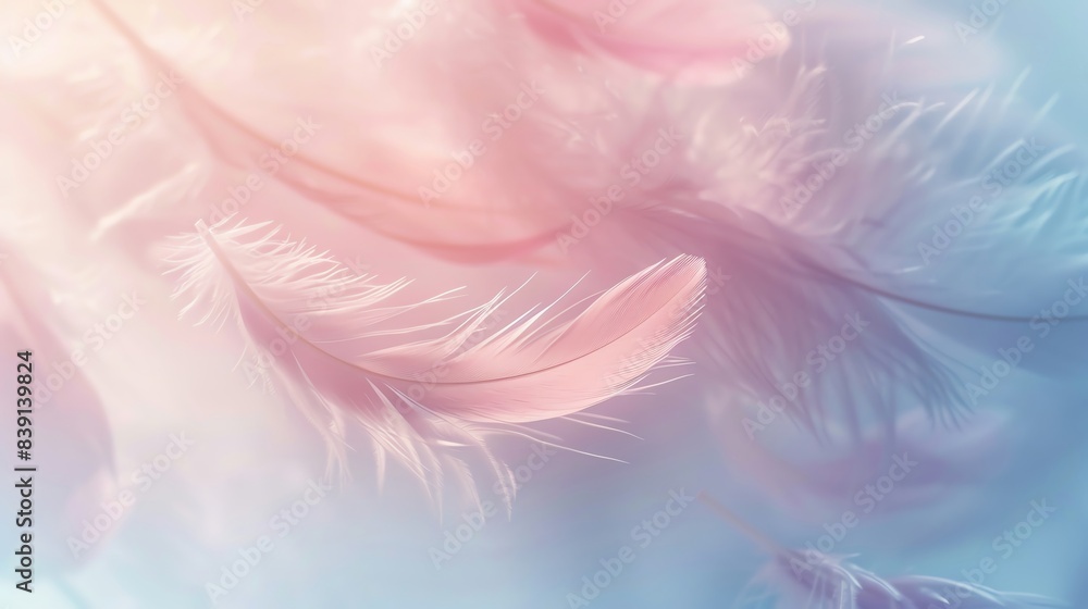 Poster Delicate pastel-colored feathers floating in soft, dreamy light, creating a tranquil and ethereal background image.