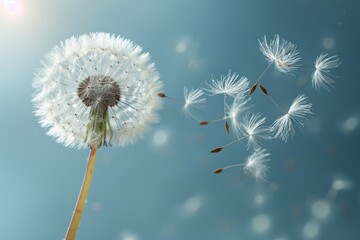 a macro shot of a dandelion