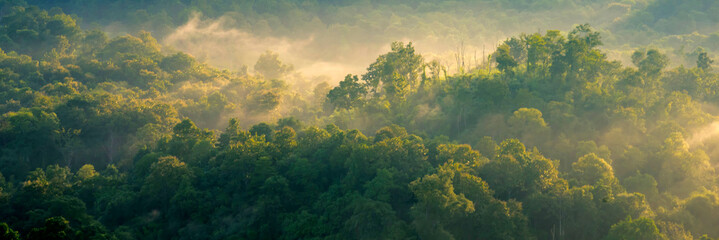 Banner Beautiful Mountain landscape foggy mountain green landscape morning sunrise. Amazing...
