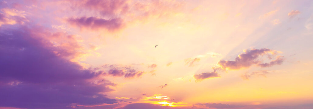 Banner purple sky sunrise dramatic beautiful landscape view. Dawn sky violet pink gold dusk time cloudscape with sunlight. Panorama Dramatic vibrant sunset scenic landscape nature with copy space