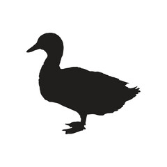 A black silhouette of a domestic or wild duck, isolated on a white background.