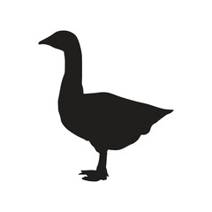 Silhouette of a domestic goose isolated on a white background.