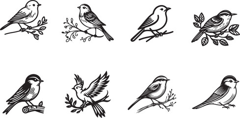 set of birds black silhouettes vector illustration