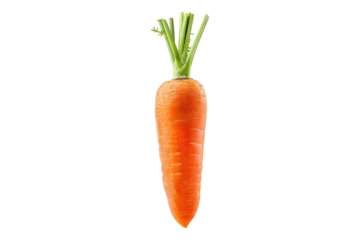 Carrot isolated on white background