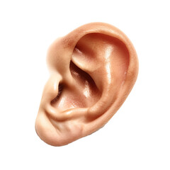 Naklejka premium Close-Up of a Human Ear Isolated on Transparent Background