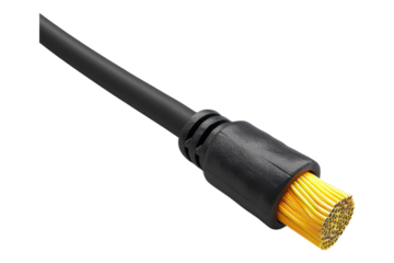 Electric pan cable isolated on white background