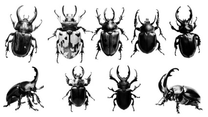 retro halftone effect, for grunge punk y2k collage art. Vector design in stipple half tone illustration for magazine, banner