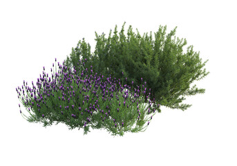 English style garden