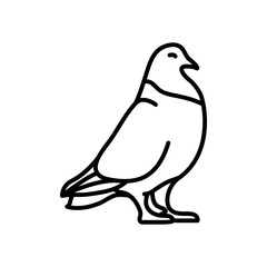 Pigeon Outline Icon, Vector illustration