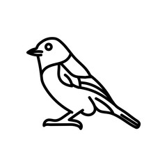 Yellow Tomtit Outline Icon, Vector illustration