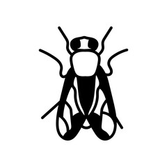 Housefly Glyph Icon, Vector illustration