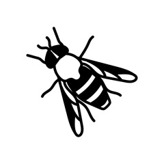 Tabanus Glyph Icon, Vector illustration