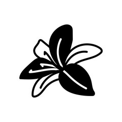 Yellow Lily Glyph Icon, Vector illustration