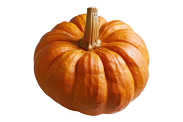 Orange pumpkin isolated on white background