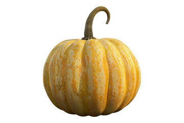 Pumpkin isolated on white background