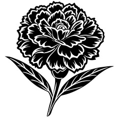 carnation  vector silhouette illustration. svg