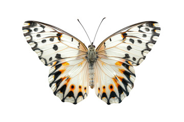 Beautiful Wing Optics White Butterfly Isolated on Transparent Background