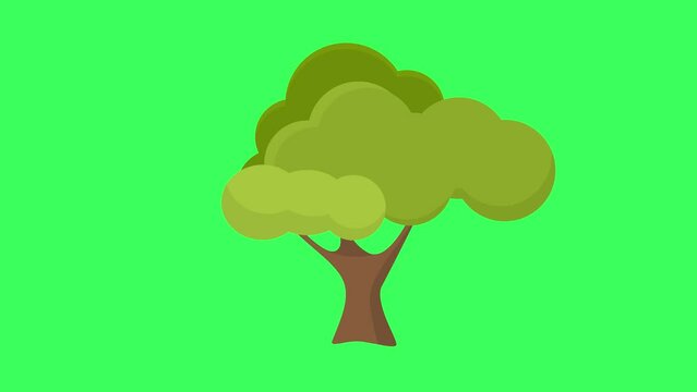 2D animated tree slowly moving with wind blowing, moving stems and green leaves against green screen. Easily removed green screen background. Animation for kids cartoons, ads, promotional videos. 4k. 