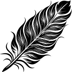 Obraz premium bird feather vector silhouette illustration